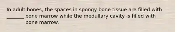 In adult bones, <a href='https://www.questionai.com/knowledge/k0Lyloclid-the-space' class='anchor-knowledge'>the space</a>s in spongy bone tissue are filled with _______ bone marrow while the medullary cavity is filled with _______ bone marrow.