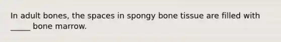 In adult bones, the spaces in spongy bone tissue are filled with _____ bone marrow.