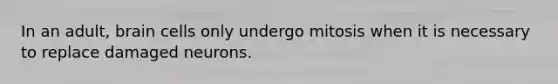 In an adult, brain cells only undergo mitosis when it is necessary to replace damaged neurons.