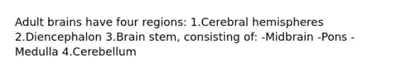 Adult brains have four regions: 1.Cerebral hemispheres 2.Diencephalon 3.Brain stem, consisting of: -Midbrain -Pons -Medulla 4.Cerebellum