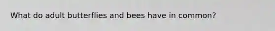 What do adult butterflies and bees have in common?