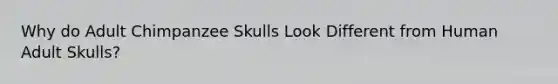 Why do Adult Chimpanzee Skulls Look Different from Human Adult Skulls?