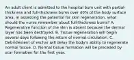 An adult client is admitted to the hospital burn unit with partial-thickness and full-thickness burns over 40% of the body surface area. In assessing the potential for skin regeneration, what should the nurse remember about full-thickness burns? A. Regenerative function of the skin is absent because the dermal layer has been destroyed. B. Tissue regeneration will begin several days following the return of normal circulation. C. Debridement of eschar will delay the body's ability to regenerate normal tissue. D. Normal tissue formation will be preceded by scar formation for the first year.