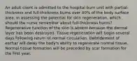 An adult client is admitted to the hospital burn unit with partial-thickness and full-thickness burns over 40% of the body surface area. In assessing the potential for skin regeneration, which should the nurse remember about full-thickness burns? Regenerative function of the skin is absent because the dermal layer has been destroyed. Tissue regeneration will begin several days following return of normal circulation. Debridement of eschar will delay the body's ability to regenerate normal tissue. Normal tissue formation will be preceded by scar formation for the first year.