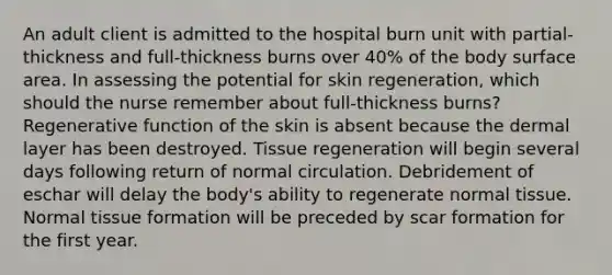 An adult client is admitted to the hospital burn unit with partial-thickness and full-thickness burns over 40% of the body surface area. In assessing the potential for skin regeneration, which should the nurse remember about full-thickness burns? Regenerative function of the skin is absent because the dermal layer has been destroyed. Tissue regeneration will begin several days following return of normal circulation. Debridement of eschar will delay the body's ability to regenerate normal tissue. Normal tissue formation will be preceded by scar formation for the first year.