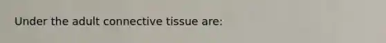 Under the adult <a href='https://www.questionai.com/knowledge/kYDr0DHyc8-connective-tissue' class='anchor-knowledge'>connective tissue</a> are: