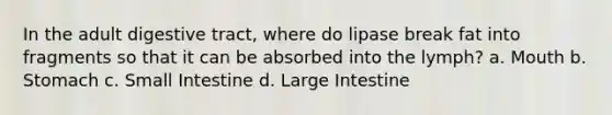 In the adult digestive tract, where do lipase break fat into fragments so that it can be absorbed into the lymph? a. Mouth b. Stomach c. Small Intestine d. Large Intestine