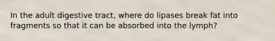 In the adult digestive tract, where do lipases break fat into fragments so that it can be absorbed into the lymph?