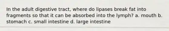 In the adult digestive tract, where do lipases break fat into fragments so that it can be absorbed into the lymph? a. mouth b. stomach c. small intestine d. large intestine