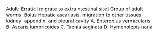 Adult: Erratic [migrate to extraintestinal site] Group of adult worms: Bolus Hepatic ascariasis, migration to other tissues: kidney, appendix, and pleural cavity A. Enterobius vermicularis B. Ascaris lumbricoides C. Taenia saginata D. Hymenolepis nana