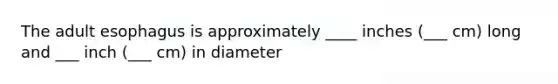 The adult esophagus is approximately ____ inches (___ cm) long and ___ inch (___ cm) in diameter