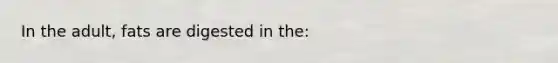 In the adult, fats are digested in the: