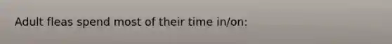 Adult fleas spend most of their time in/on: