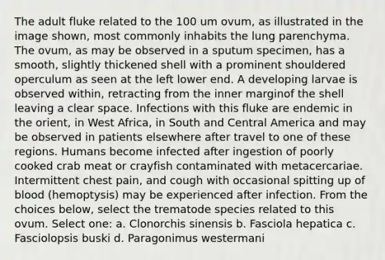 The adult fluke related to the 100 um ovum, as illustrated in the image shown, most commonly inhabits the lung parenchyma. The ovum, as may be observed in a sputum specimen, has a smooth, slightly thickened shell with a prominent shouldered operculum as seen at the left lower end. A developing larvae is observed within, retracting from the inner marginof the shell leaving a clear space. Infections with this fluke are endemic in the orient, in West Africa, in South and Central America and may be observed in patients elsewhere after travel to one of these regions. Humans become infected after ingestion of poorly cooked crab meat or crayfish contaminated with metacercariae. Intermittent chest pain, and cough with occasional spitting up of blood (hemoptysis) may be experienced after infection. From the choices below, select the trematode species related to this ovum. Select one: a. Clonorchis sinensis b. Fasciola hepatica c. Fasciolopsis buski d. Paragonimus westermani