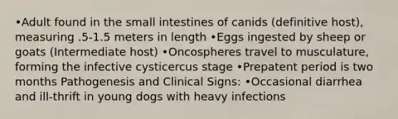 •Adult found in the small intestines of canids (definitive host), measuring .5-1.5 meters in length •Eggs ingested by sheep or goats (Intermediate host) •Oncospheres travel to musculature, forming the infective cysticercus stage •Prepatent period is two months Pathogenesis and Clinical Signs: •Occasional diarrhea and ill-thrift in young dogs with heavy infections