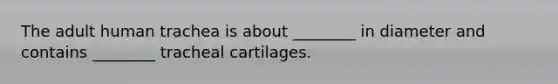 The adult human trachea is about ________ in diameter and contains ________ tracheal cartilages.