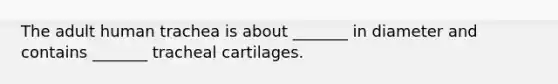 The adult human trachea is about _______ in diameter and contains _______ tracheal cartilages.