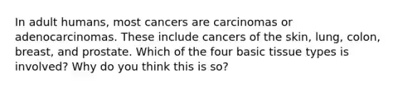 In adult humans, most cancers are carcinomas or adenocarcinomas. These include cancers of the skin, lung, colon, breast, and prostate. Which of the four basic tissue types is involved? Why do you think this is so?