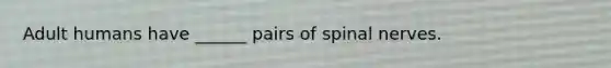 Adult humans have ______ pairs of <a href='https://www.questionai.com/knowledge/kyBL1dWgAx-spinal-nerves' class='anchor-knowledge'>spinal nerves</a>.