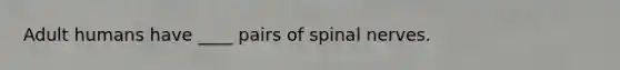 Adult humans have ____ pairs of spinal nerves.