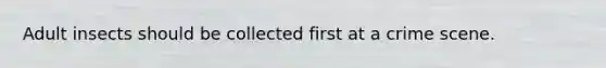 Adult insects should be collected first at a crime scene.