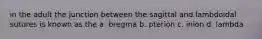 in the adult the junction between the sagittal and lambdoidal sutures is known as the a. bregma b. pterion c. inion d. lambda