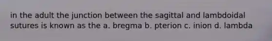 in the adult the junction between the sagittal and lambdoidal sutures is known as the a. bregma b. pterion c. inion d. lambda