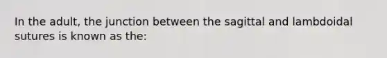 In the adult, the junction between the sagittal and lambdoidal sutures is known as the: