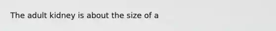 The adult kidney is about the size of a