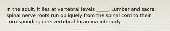 In the adult, it lies at vertebral levels _____. Lumbar and sacral spinal nerve roots run obliquely from <a href='https://www.questionai.com/knowledge/kkAfzcJHuZ-the-spinal-cord' class='anchor-knowledge'>the spinal cord</a> to their corresponding intervertebral foramina inferiorly.