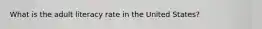 What is the adult literacy rate in the United States?