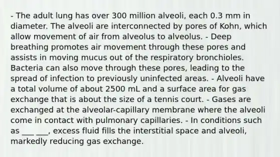 - The adult lung has over 300 million alveoli, each 0.3 mm in diameter. The alveoli are interconnected by pores of Kohn, which allow movement of air from alveolus to alveolus. - Deep breathing promotes air movement through these pores and assists in moving mucus out of the respiratory bronchioles. Bacteria can also move through these pores, leading to the spread of infection to previously uninfected areas. - Alveoli have a total volume of about 2500 mL and a surface area for gas exchange that is about the size of a tennis court. - Gases are exchanged at the alveolar-capillary membrane where the alveoli come in contact with pulmonary capillaries. - In conditions such as ___ ___, excess fluid fills the interstitial space and alveoli, markedly reducing gas exchange.