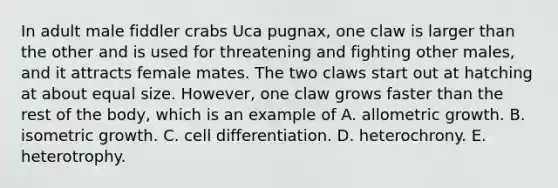 In adult male fiddler crabs Uca pugnax, one claw is larger than the other and is used for threatening and fighting other males, and it attracts female mates. The two claws start out at hatching at about equal size. However, one claw grows faster than the rest of the body, which is an example of A. allometric growth. B. isometric growth. C. cell differentiation. D. heterochrony. E. heterotrophy.