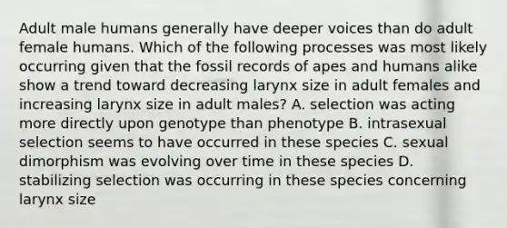 Adult male humans generally have deeper voices than do adult female humans. Which of the following processes was most likely occurring given that the fossil records of apes and humans alike show a trend toward decreasing larynx size in adult females and increasing larynx size in adult males? A. selection was acting more directly upon genotype than phenotype B. intrasexual selection seems to have occurred in these species C. sexual dimorphism was evolving over time in these species D. stabilizing selection was occurring in these species concerning larynx size