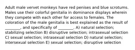 Adult male vervet monkeys have red penises and blue scrotums. Males use their colorful genitalia in dominance displays wherein they compete with each other for access to females. The coloration of the male genitalia is best explained as the result of ________, and specifically of ________. A) natural selection; stabilizing selection B) disruptive selection; intrasexual selection C) sexual selection; intrasexual selection D) natural selection; intersexual selection E) sexual selection; disruptive selection