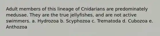 Adult members of this lineage of Cnidarians are predominately medusae. They are the true jellyfishes, and are not active swimmers. a. Hydrozoa b. Scyphozoa c. Trematoda d. Cubozoa e. Anthozoa