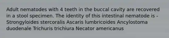 Adult nematodes with 4 teeth in the buccal cavity are recovered in a stool specimen. The identity of this intestinal nematode is - Strongyloides stercoralis Ascaris lumbricoides Ancylostoma duodenale Trichuris trichiura Necator americanus