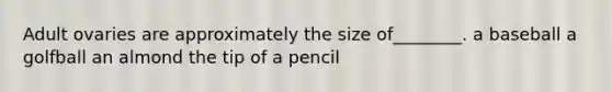 Adult ovaries are approximately the size of________. a baseball a golfball an almond the tip of a pencil