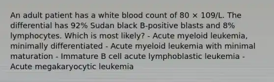 An adult patient has a white blood count of 80 × 109/L. The differential has 92% Sudan black B-positive blasts and 8% lymphocytes. Which is most likely? - Acute myeloid leukemia, minimally differentiated - Acute myeloid leukemia with minimal maturation - Immature B cell acute lymphoblastic leukemia - Acute megakaryocytic leukemia