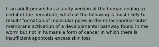 If an adult person has a faulty version of the human analog to ced-4 of the nematode, which of the following is most likely to result? formation of molecular pores in the mitochondrial outer membrane activation of a developmental pathway found in the worm but not in humans a form of cancer in which there is insufficient apoptosis excess skin loss