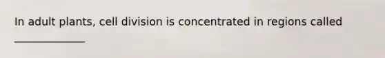 In adult plants, cell division is concentrated in regions called _____________