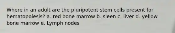 Where in an adult are the pluripotent stem cells present for hematopoiesis? a. red bone marrow b. sleen c. liver d. yellow bone marrow e. Lymph nodes