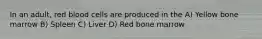 In an adult, red blood cells are produced in the A) Yellow bone marrow B) Spleen C) Liver D) Red bone marrow