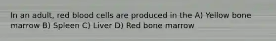 In an adult, red blood cells are produced in the A) Yellow bone marrow B) Spleen C) Liver D) Red bone marrow