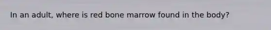 In an adult, where is red bone marrow found in the body?