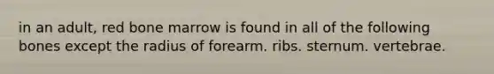 in an adult, red bone marrow is found in all of the following bones except the radius of forearm. ribs. sternum. vertebrae.