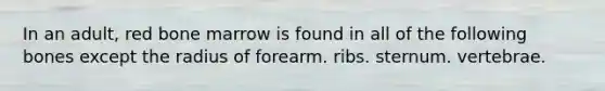 In an adult, red bone marrow is found in all of the following bones except the radius of forearm. ribs. sternum. vertebrae.