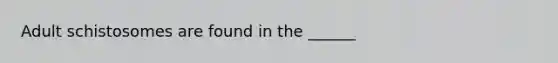 Adult schistosomes are found in the ______