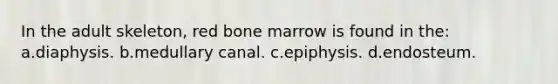 In the adult skeleton, red bone marrow is found in the: a.diaphysis. b.medullary canal. c.epiphysis. d.endosteum.