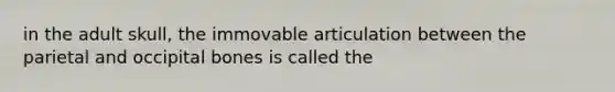 in the adult skull, the immovable articulation between the parietal and occipital bones is called the